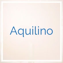 Aquilino