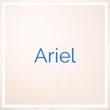 Ariel