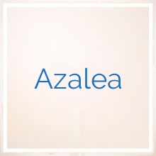 Azalea