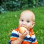 Bebé comiéndose una manzana