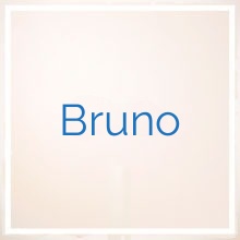 Significado y origen del nombre de Bruno Qué significa Bruno