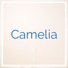 Camelia