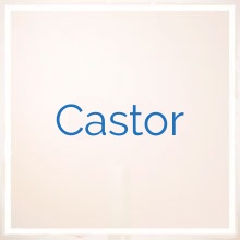 Castor