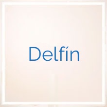 Delfín