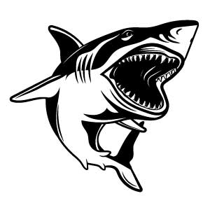 Diseño tiburón para tatuaje