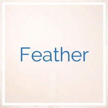 Feather