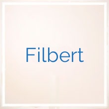 Filbert