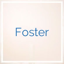 Foster