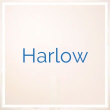 Harlow