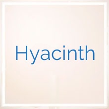 Hyacinth