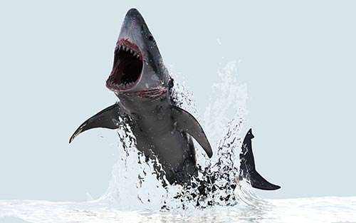 Ilustración digital de salto de gran tiburón blanco