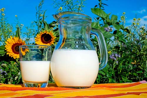 Jarra y vaso de leche frente a girasoles