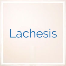 Lachesis