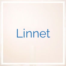 Linnet