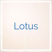 Lotus