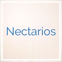 Nectarios