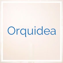 Orquidea