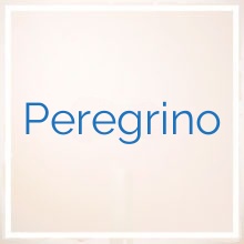 Peregrino