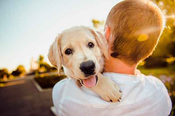 Perro abrazado por su dueño