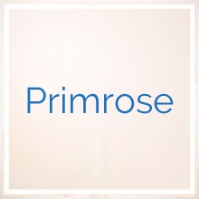 Primrose