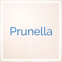 Prunella