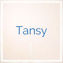 Tansy