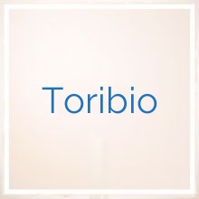 Toribio