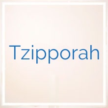 Tzipporah