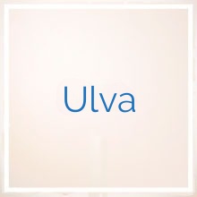 Ulva