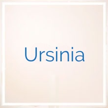 Ursinia