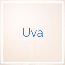 Uva