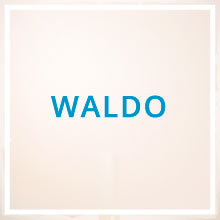 Significado y origen de Waldo