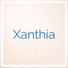 Xanthia