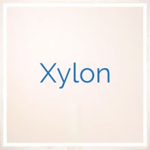 Xylon